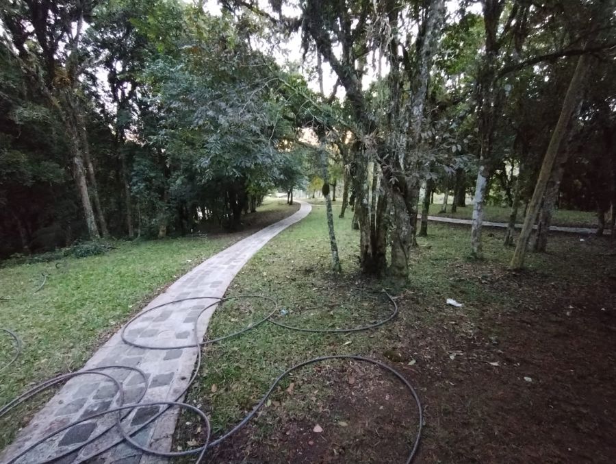 Imagem 3